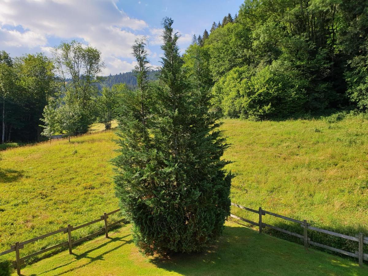 Le Bois Joli Chalet 4 Etoiles Cledicihome Cadre Paisible En Lisiere De Foret Gérardmer Eksteriør billede