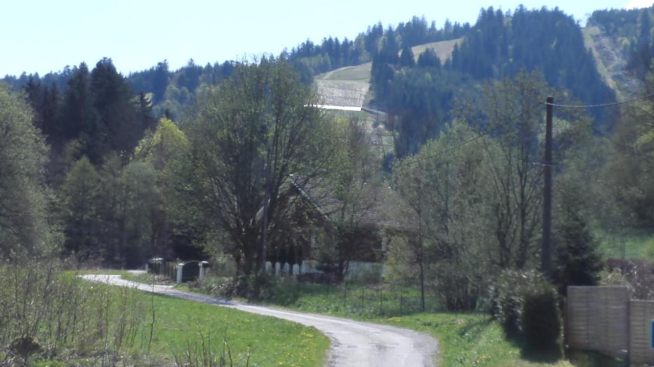 Le Bois Joli Chalet 4 Etoiles Cledicihome Cadre Paisible En Lisiere De Foret Gérardmer Eksteriør billede